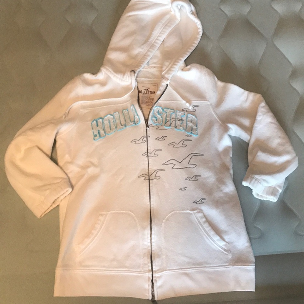 Hollister Zip Up Hoodie